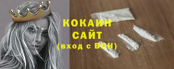 сатива Заволжье